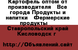 Картофель оптом от производителя - Все города Продукты и напитки » Фермерские продукты   . Ставропольский край,Кисловодск г.